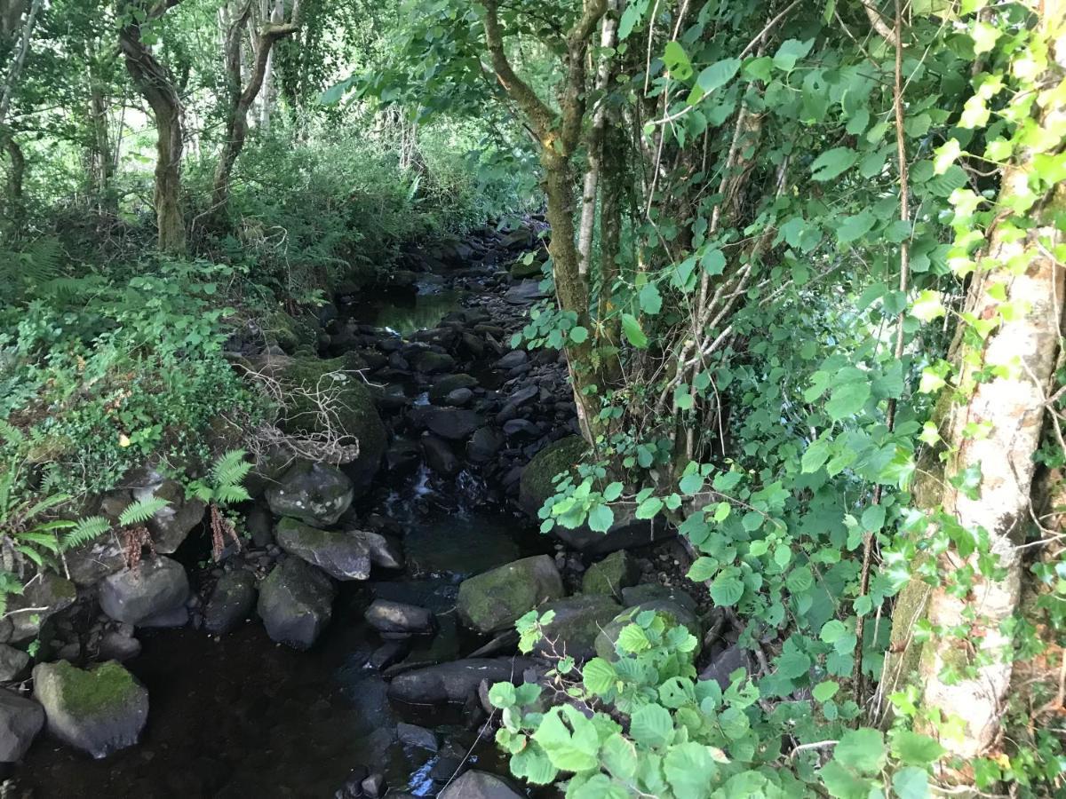 Lissyclearig Lodge Kenmare Eksteriør bilde
