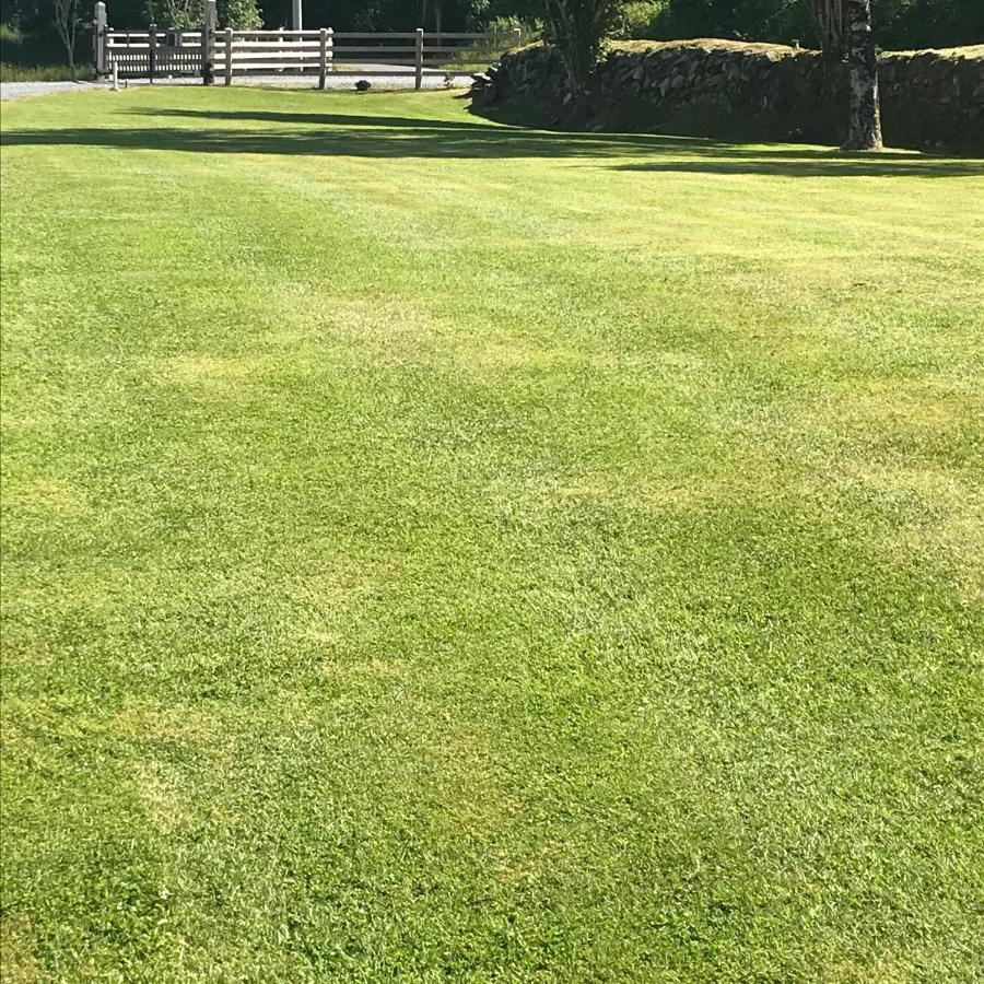 Lissyclearig Lodge Kenmare Eksteriør bilde